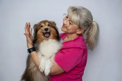 Przychodnia dla zwierząt FELIX